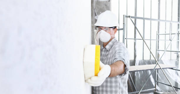 Why You Should Choose Our Mold Remediation Services in Moscow Mills, MO