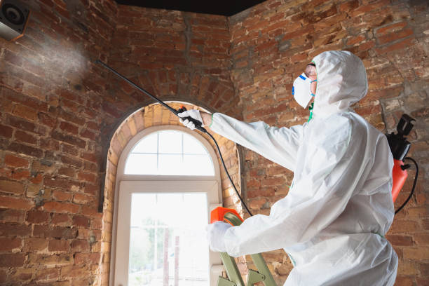 Professional Mold Removal in Moscow Mills, MO